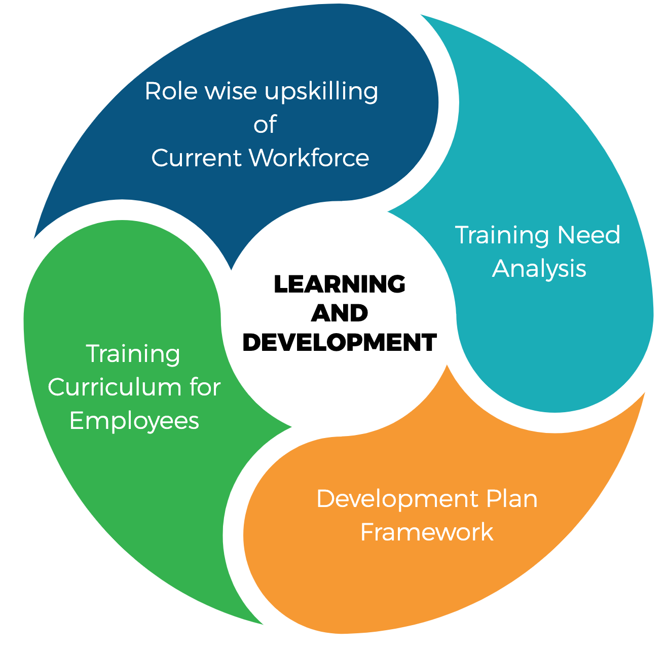 Guide for HR Navigating the Employee Life Cycle