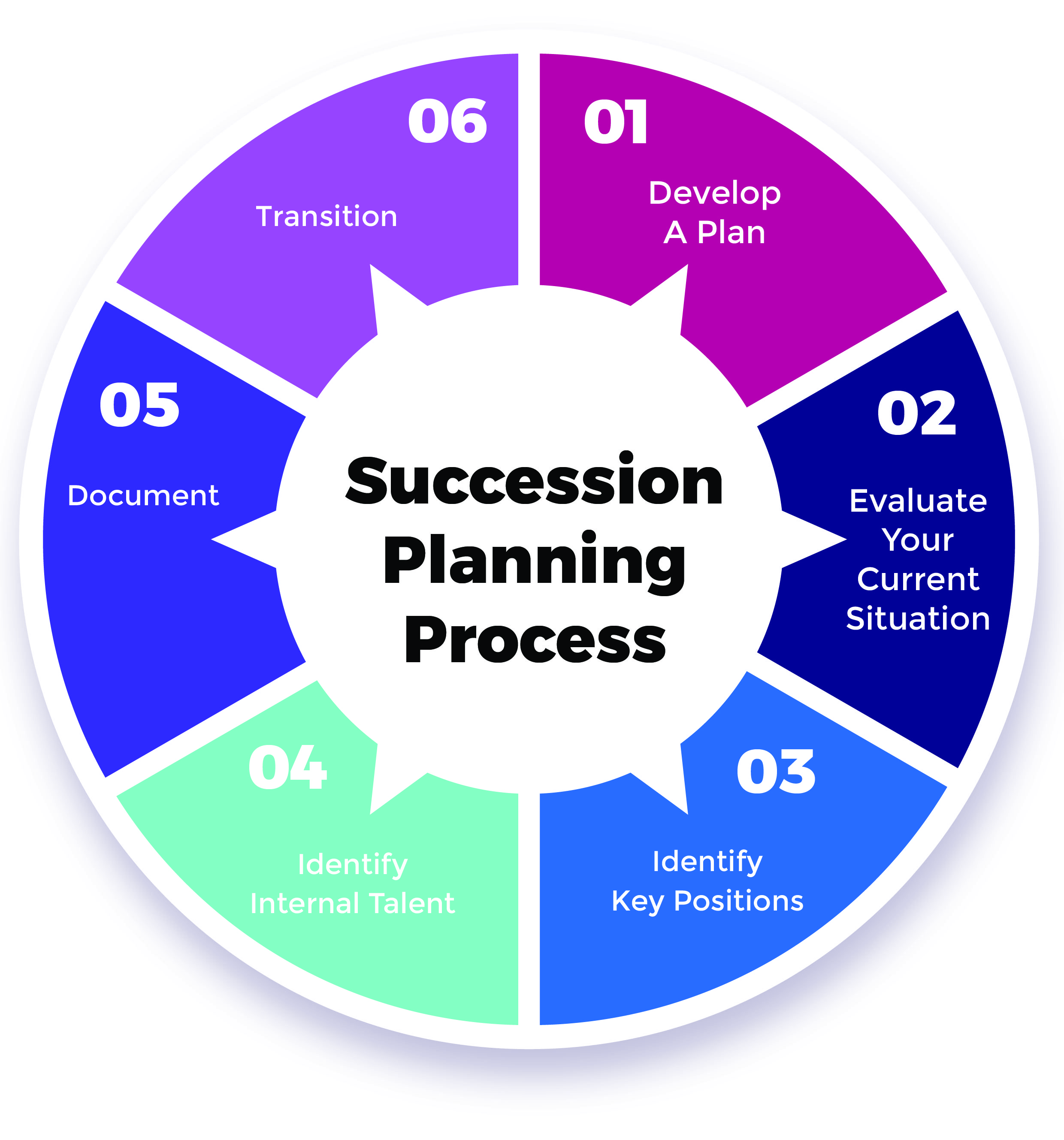 Succession Planning Process