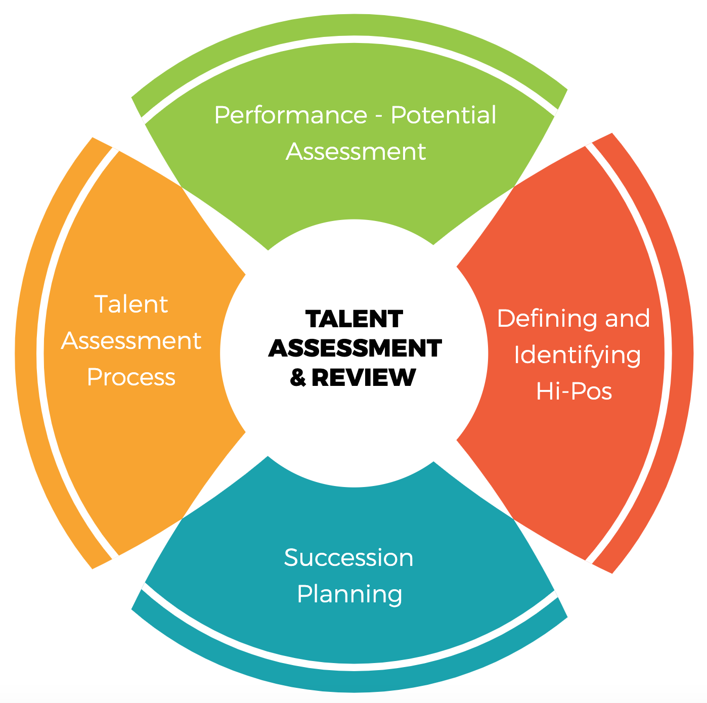 literature review for talent management