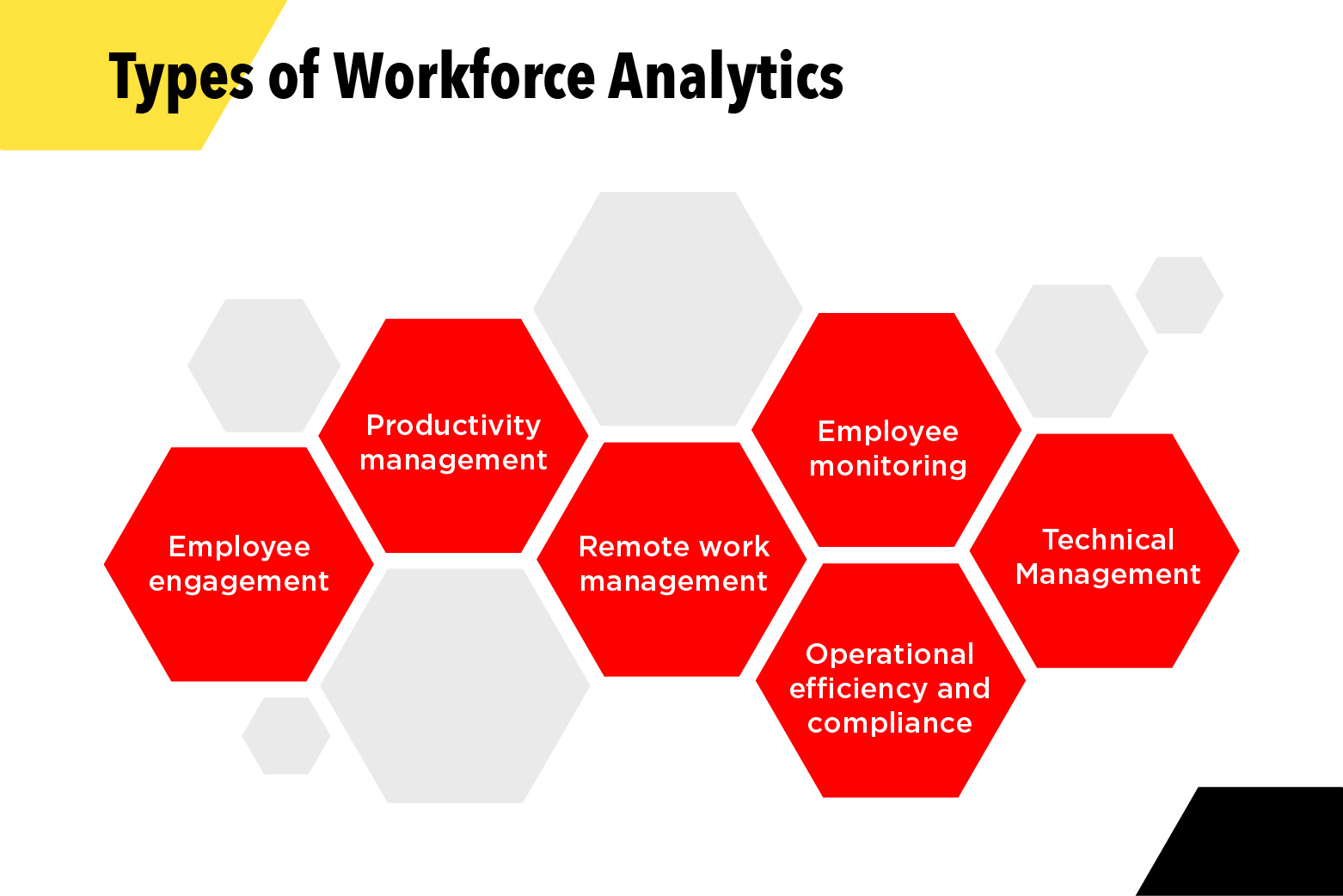 Types of Workforce Analytics