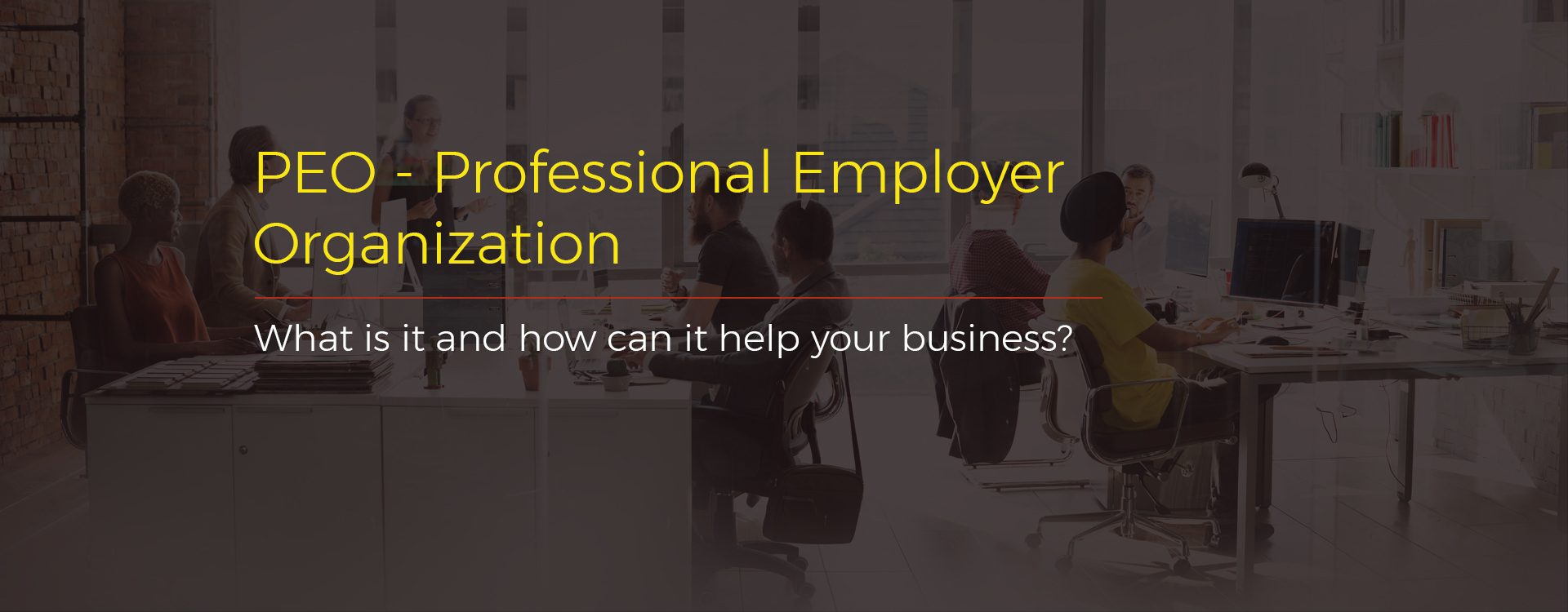 Professional Employer Organization(PEO)