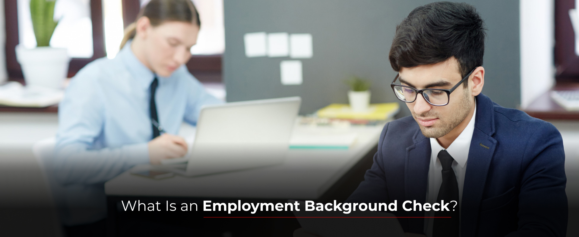 What Is an Employment Background Check?